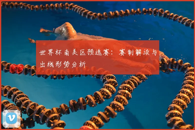 世界杯南美区预选赛：赛制解读与出线形势分析