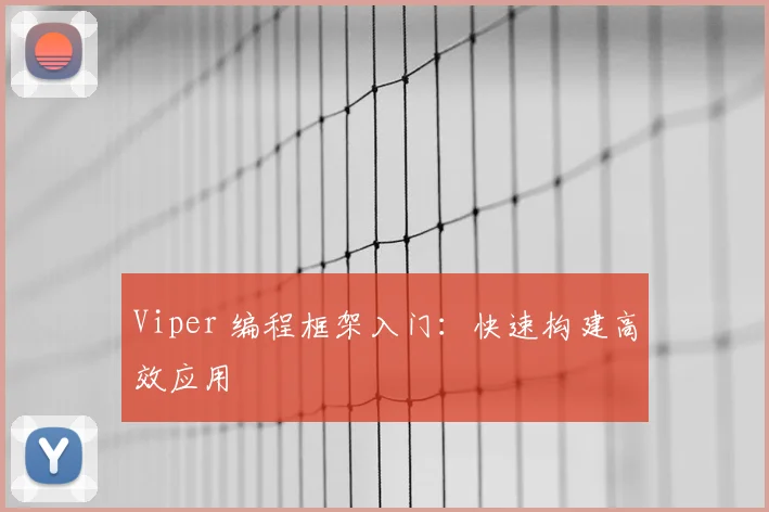Viper 编程框架入门：快速构建高效应用